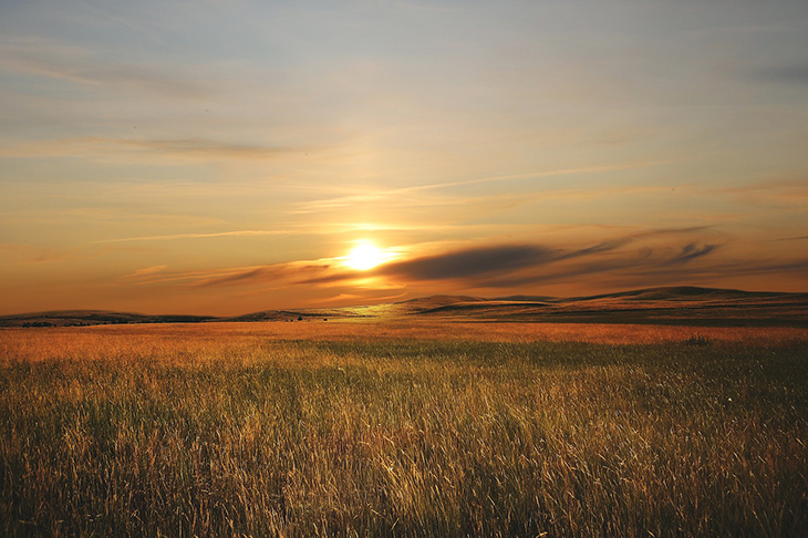 En soluppgång över ett fält.
