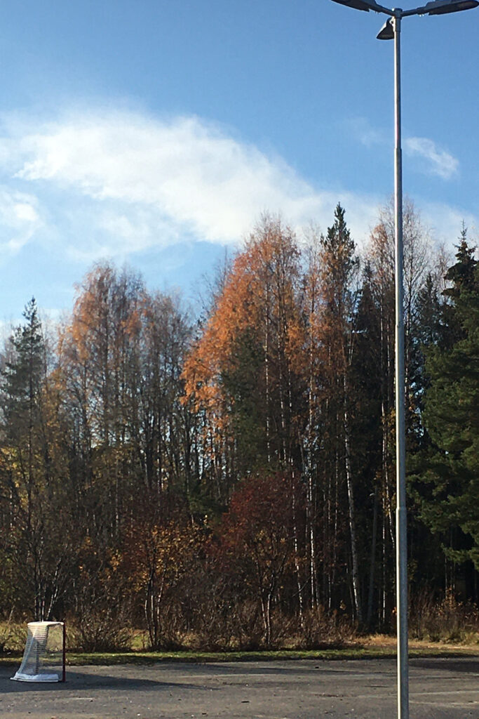 Foto på fotbollsplan och höstfärgade träd.