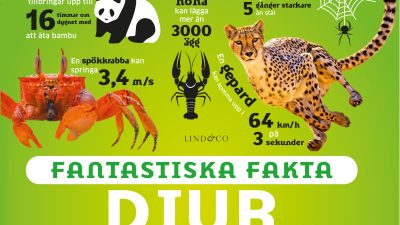 Boktips: Djur: Siffror, listor och statistik